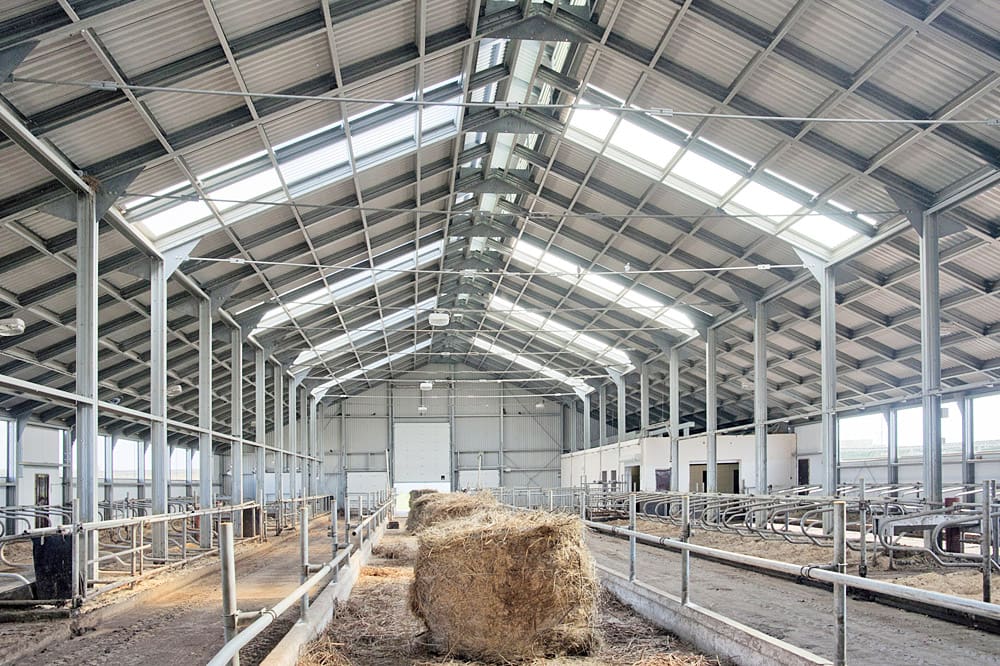Здания ЛСТК Спайдер-В® - Комплексы для крупного рогатого скота