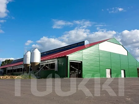 Молочно-товарная ферма "Большая Лысица" СПК "Городея". Коровник на 300 голов размерами 35,00х97,20х4,20 м 2011 год