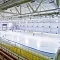 Спортивный комплекс "Олимп" с бассейном и ледовой ареной
